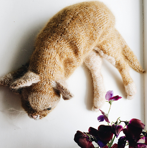 Katt - Claire Garland