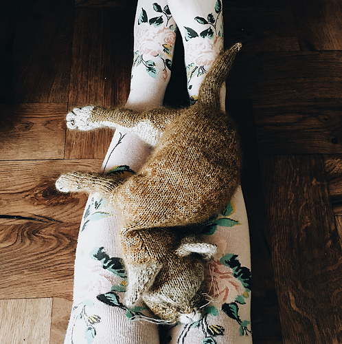 Katt - Claire Garland