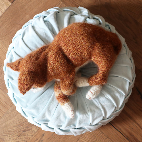 Ny kattunge - Claire Garland