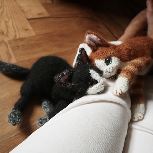 Ny kattunge - Claire Garland