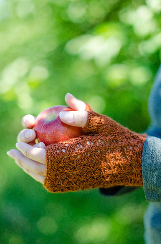 Cortland fingerless mitts photo 1