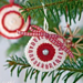 Modèle 43 Décoration de sapin: disque pattern 
