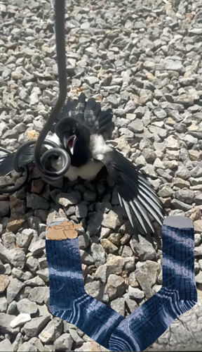 Elsbert die Elster ist Namensgeber der Socken