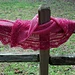 Angel's Whimsy pattern 