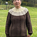 Timberline Moss Sweater pattern