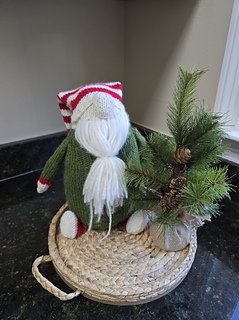 Liv & Jacob's Santa Gnome