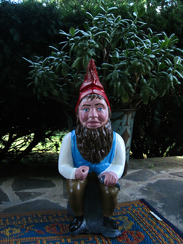Garden Gnome Mittens photo 5