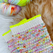 Jackpot socks pattern 