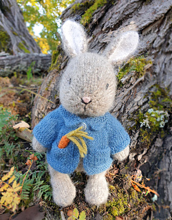 Bunny Rabbit in Blue Jacket