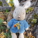 Bunny Rabbit in Blue Jacket pattern
