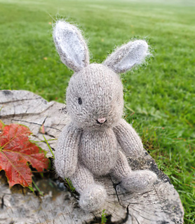 Bunny Rabbit