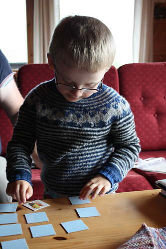 Sinnasaugenseren / Angry Sheep pullover - emberrk