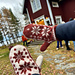 Northfield Mittens pattern 