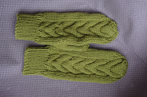 Armwarmers & Mittens (Armwarmers) photo 5
