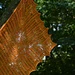 Begin the Beginning Shawl pattern 