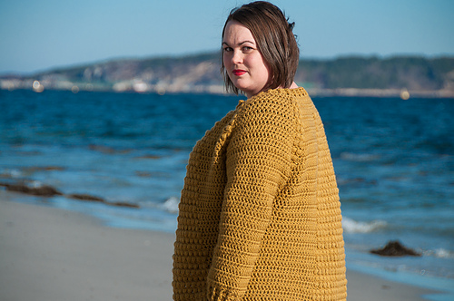 Flavus Cardigan on Ravelry photo 12