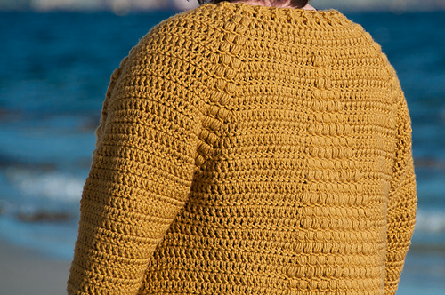 Flavus Cardigan on Ravelry photo 5