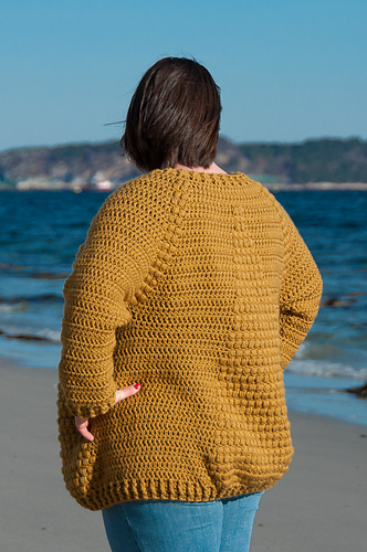 Flavus Cardigan on Ravelry photo 10