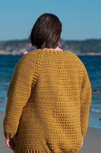 Flavus Cardigan on Ravelry photo 9