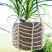 Easy Plant Hanger photo 4