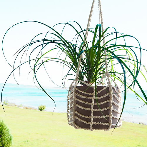 Easy Plant Hanger photo 5