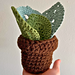 Potted Plant Coasters pattern