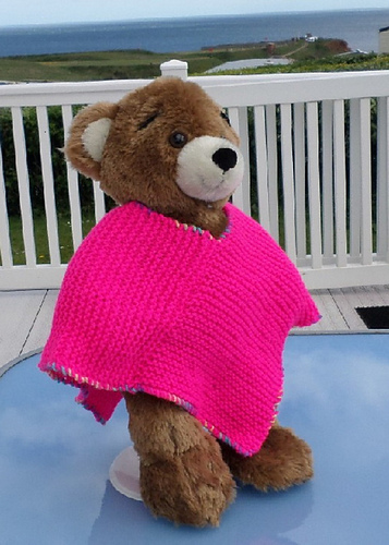 Poncho_for_Teddy_1_medium.jpg