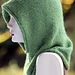 Friend of the Forest Hood pattern 