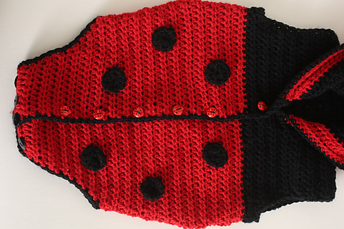 Lucky Ladybug Onesie photo 3