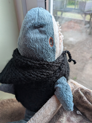 A hoodie for a toy shark