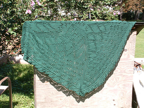 Healer's Hall Shawl photo 3