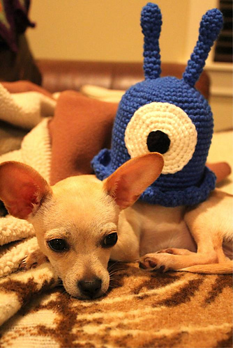 Brain Slug photo 5