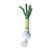 Spring Onion pattern 
