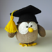 Graduation Owl pattern
