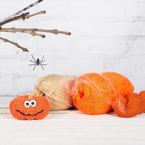 Pumpkin photo 4