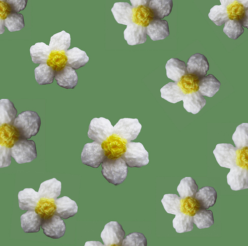 Daisy - Amanda Berry