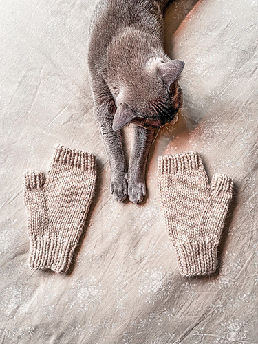 Cozy and lazy mitts 다른 모습 5