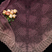 Purple Coneflower Shawl pattern