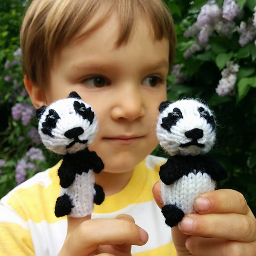 Wee Panda photo 2