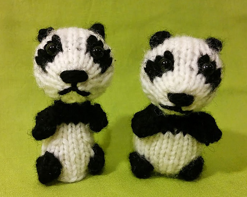 Wee Panda photo 3