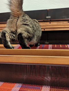 warp inspector rosie is on the job