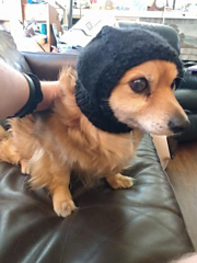 sub