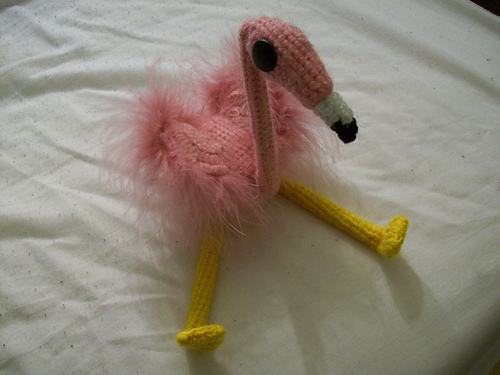 Flora, the Australian Flamingo photo 1