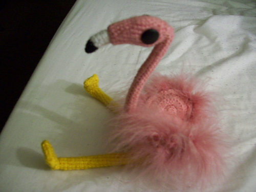 Flora, the Australian Flamingo photo 2