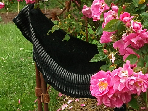 Ravelry: LightSpeed pattern by Susan Ashcroft