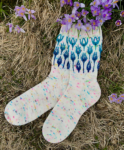 På norsk: Crocus Blomster Sokker - Liz Harris