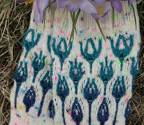 På norsk: Crocus Blomster Sokker - Liz Harris