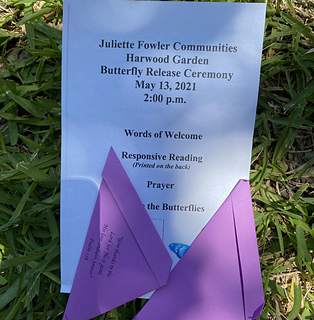 Butterfly Release