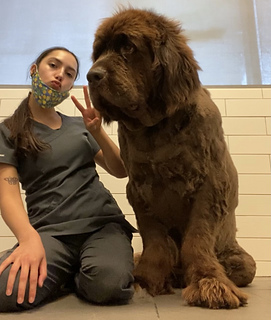 Azra has chosen to be a groomer! 