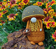 Standing on Phaeolus schweinitzii fungi.